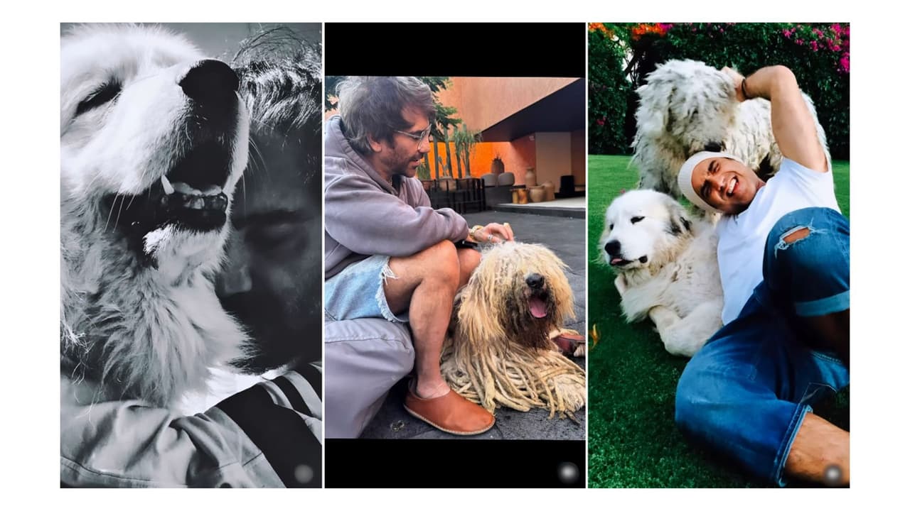 El cantante rememoró sus mejores momentos con su mascota.