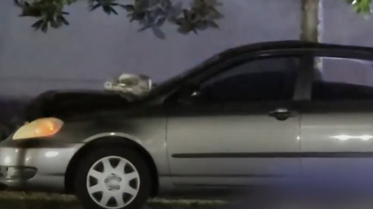 Una mujer muere tras ser atropellada sobre la carretera 434 en Longwood