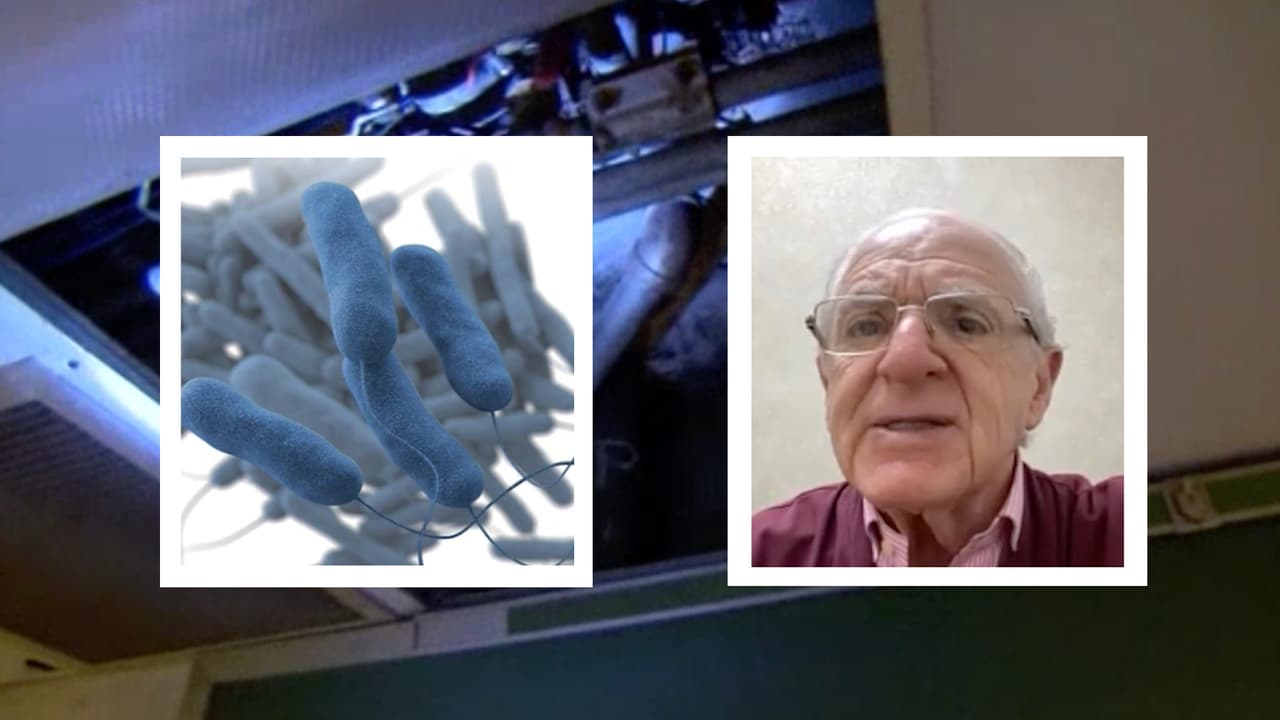 “A la bacteria Legionella le gusta vivir en la humedad. En los aires acondicionados justo donde se estanca a veces el agua y en las tuberías, por lo que las personas la pueden inhalar especialmente en lugares cerrados como edificios, en barcos o cruceros”, explica el médico pediatra, Martín Yudovich.