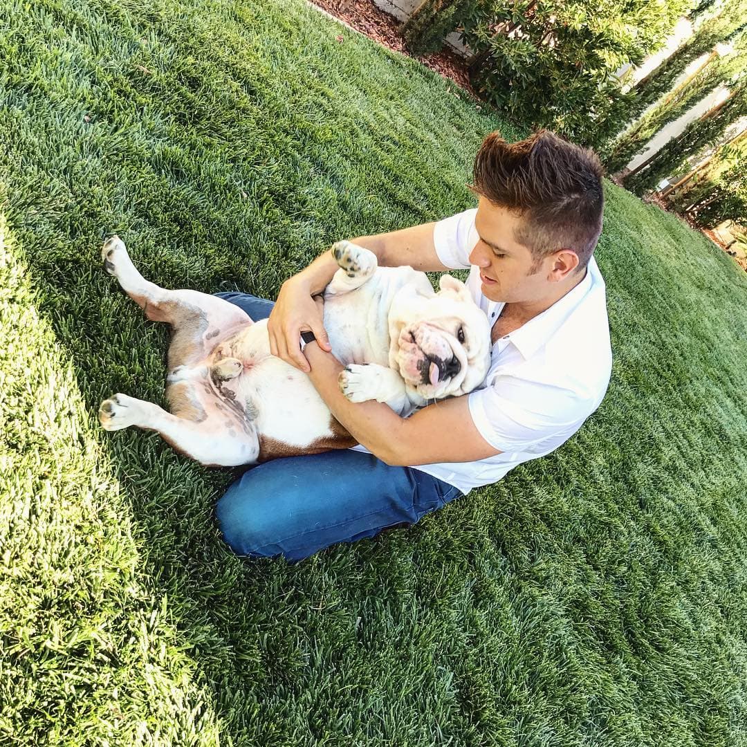 El Dasa quiere tanto a su 'bulldog' que tiene para él una cuenta de Instagram y puedes seguirlo en @benitoelperrolopez.