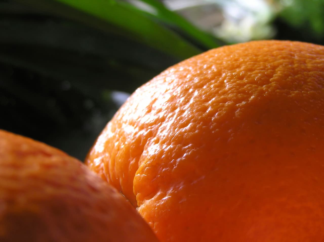 También se le conoce como piel de naranja porque la apariencia que da es rugosa, justo como el de una naranja. Expertos en temas de la piel aseguran que su aspecto es también como la del queso cottage.