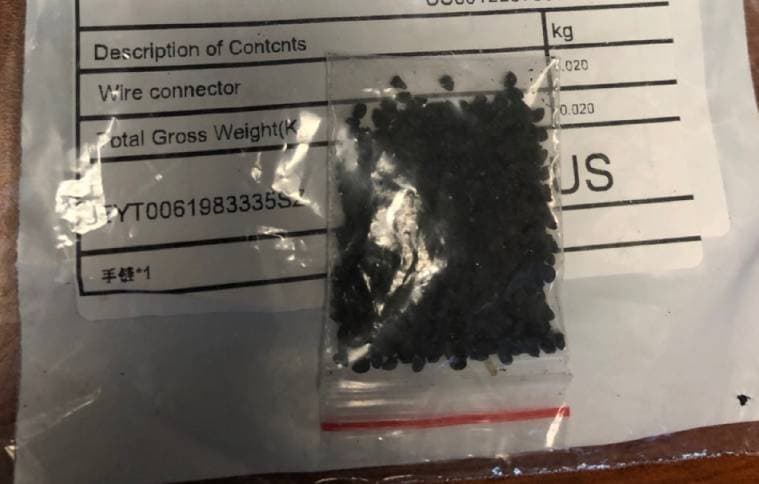 Alertan por misteriosos paquetes con semillas enviados desde China a casas en California