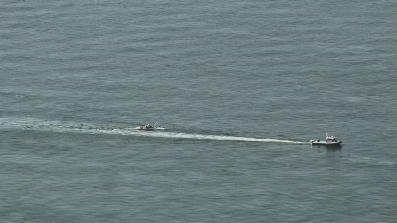 Según las autoridades de vida silvestre, se trata de la primera muerte de ballena reportada en el Área de la Bahía este año.