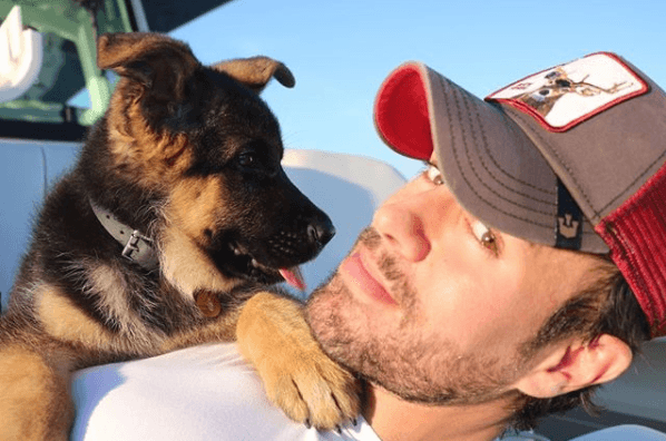 El español trata a sus perros como su propia familia, con ternura, cariño y mucho respeto.