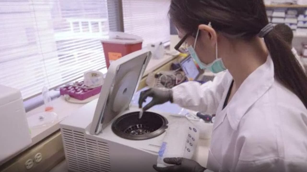 La vacuna contra el
<b><a href="https://www.univision.com/local/houston-kxln/pruebas-gratis-covid-houston">covid-19 </a></b>fue anunciada para países de bajos recursos como India y busca detener el surgimiento de nuevas cepas de la pandemia.
<br>