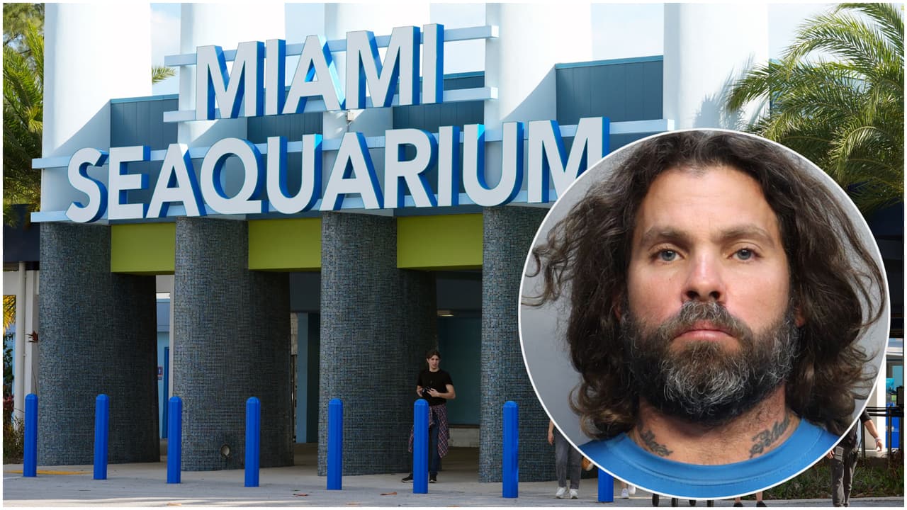Arrestan a famoso grafitero acusado de pintar con aerosol en el Miami Seaquarium