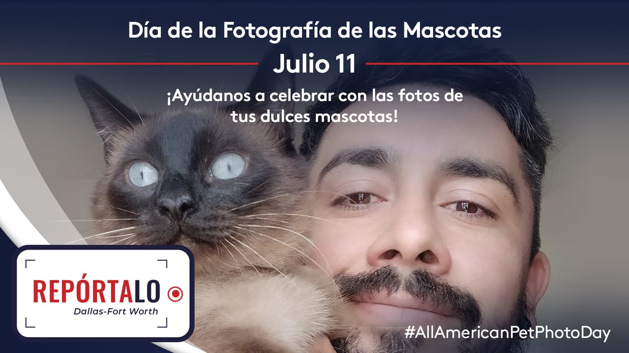 Comparte con Repórtalo Dallas-Fort Worth las fotos de tus mascotas este 11 de julio