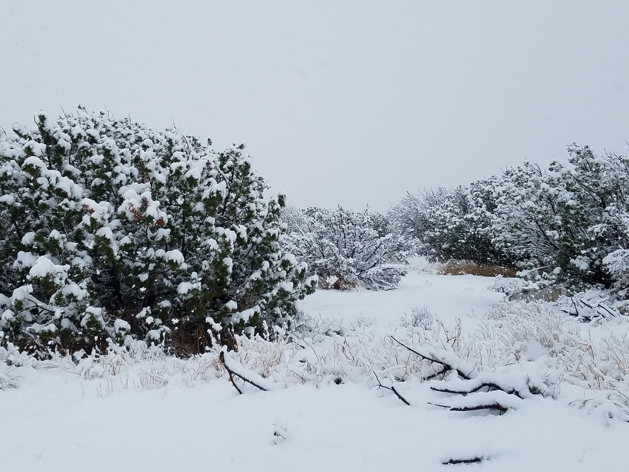 "En Hisperia nevo desde las 8am hasta 430pm y sigue con ratitos de nieve... hay que diafrutar", escribió Magandang Babae.