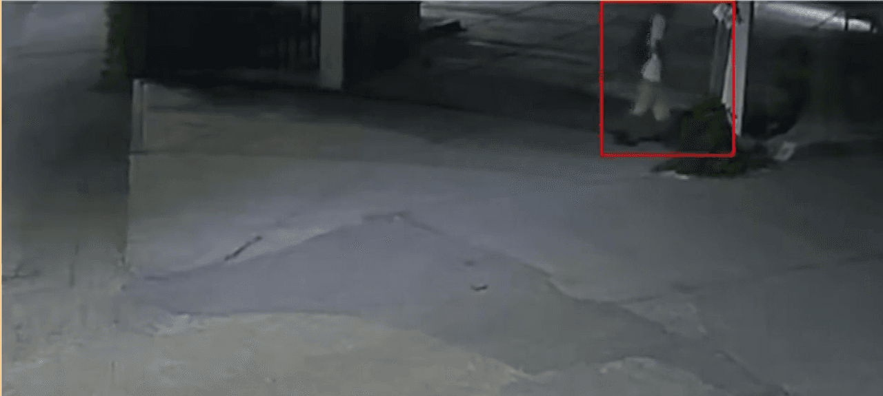 'El Trompas' sería el pseudónimo del presunto asesino de la estudiante española Claudia Tacoronte en Morelos, México