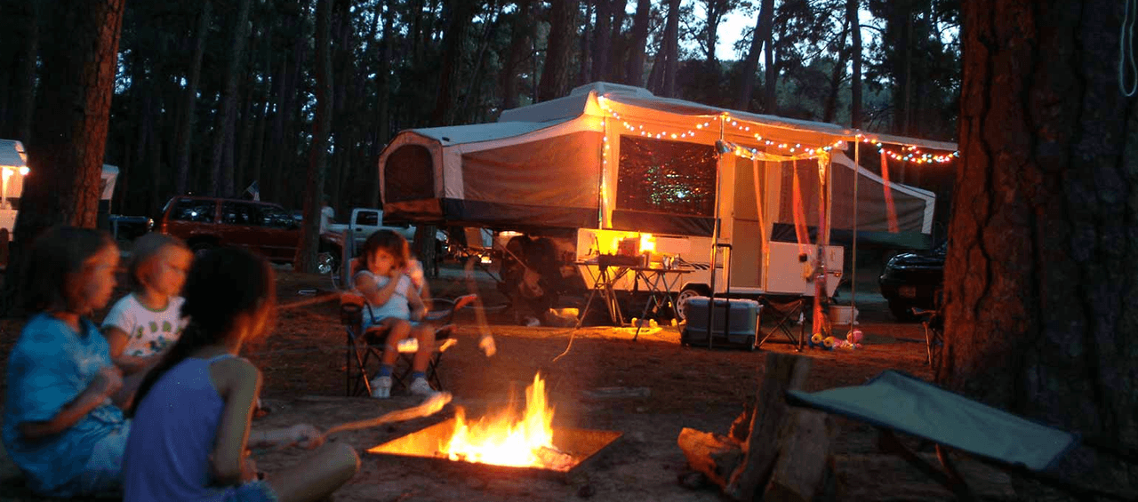 Bastrop State Park | Durante más de 70 años, la gente ha visitado el Parque Estatal Bastrop para disfrutar de su historia y maravillarse con los pinos. Los incendios forestales y las inundaciones han devastado el parque en los últimos años. Ahora, llega el renacimiento: nuevos árboles, nuevas plantas y nueva vida.