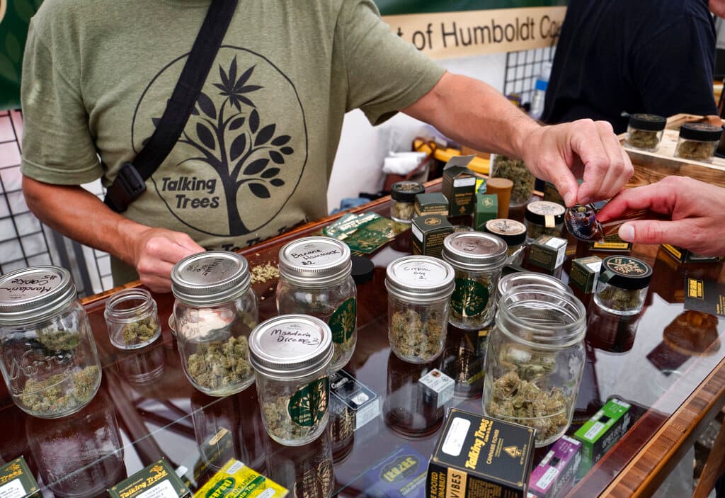 Nueva York permitirá vender cannabis en mercados de agricultores: Lo que debes saber