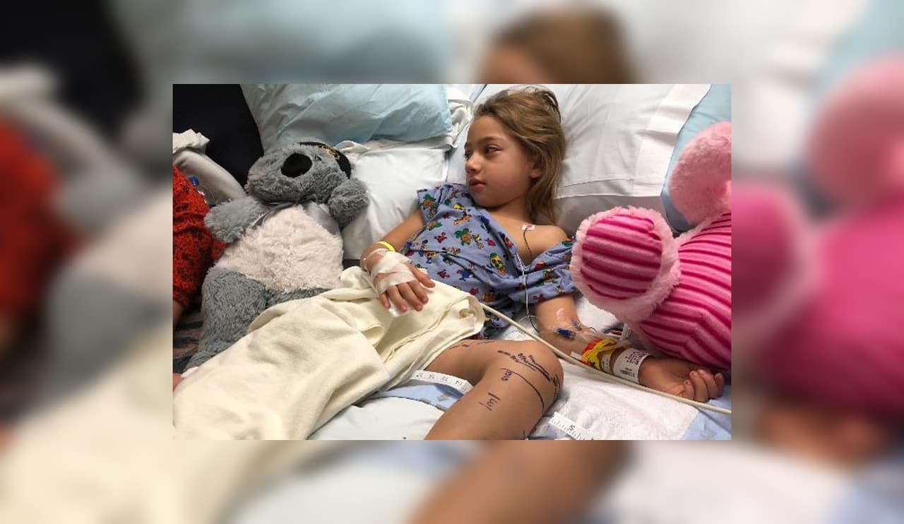 Una cascabel de 4 pies mordió a una niña en Texas, algo poco frecuente en invierno