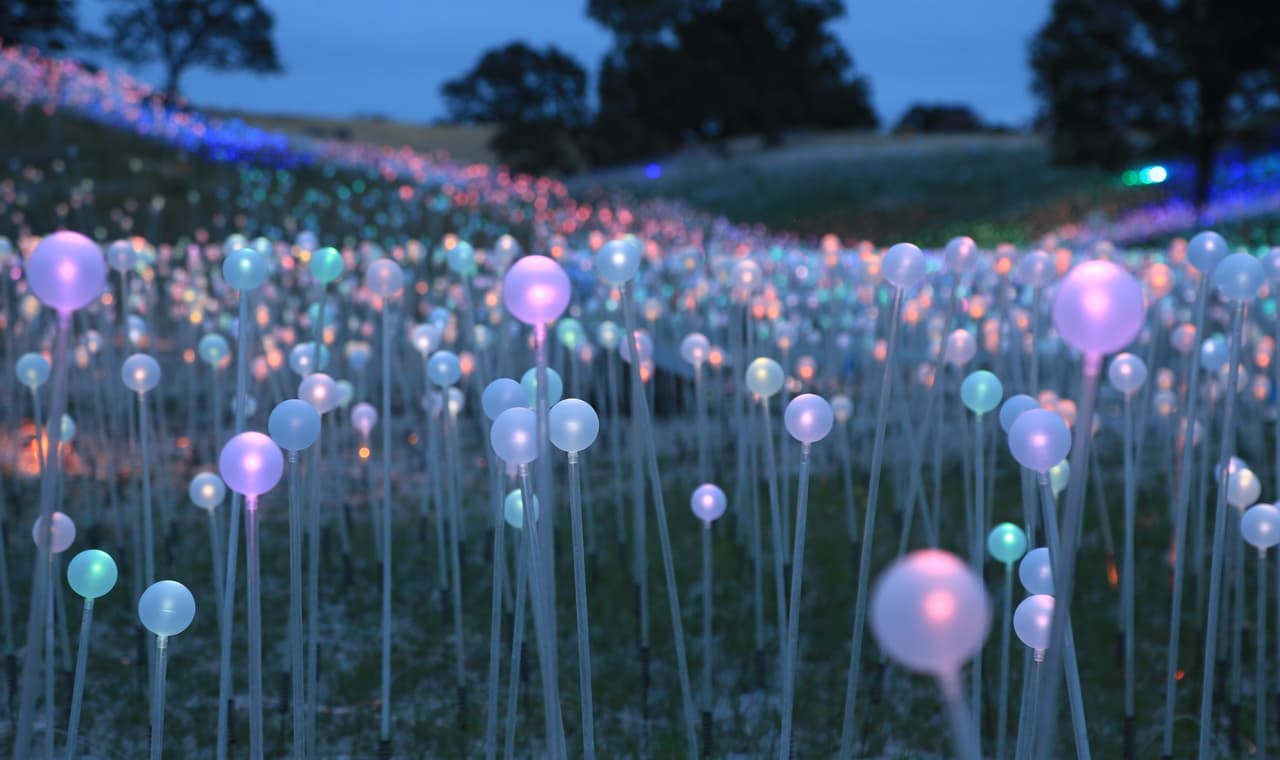 <b>"Estamos implementando todas las precauciones de seguridad con el fin de ofrecer un entorno seguro para nuestros visitantes, incluida la entrada de boletos cronometrada, un camino de ida a través de la exposición, grupos de seis personas máximo, distanciamiento social monitoreado y forzado, uso de mascarillas y otras medidas de seguridad para proteger la salud de todos"</b> dice el comunicado oficial.