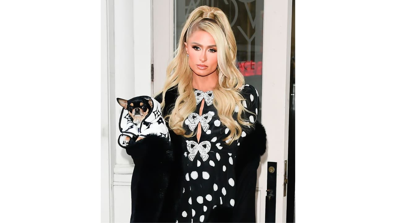 Paris Hilton y su chihuahua Diamond Baby