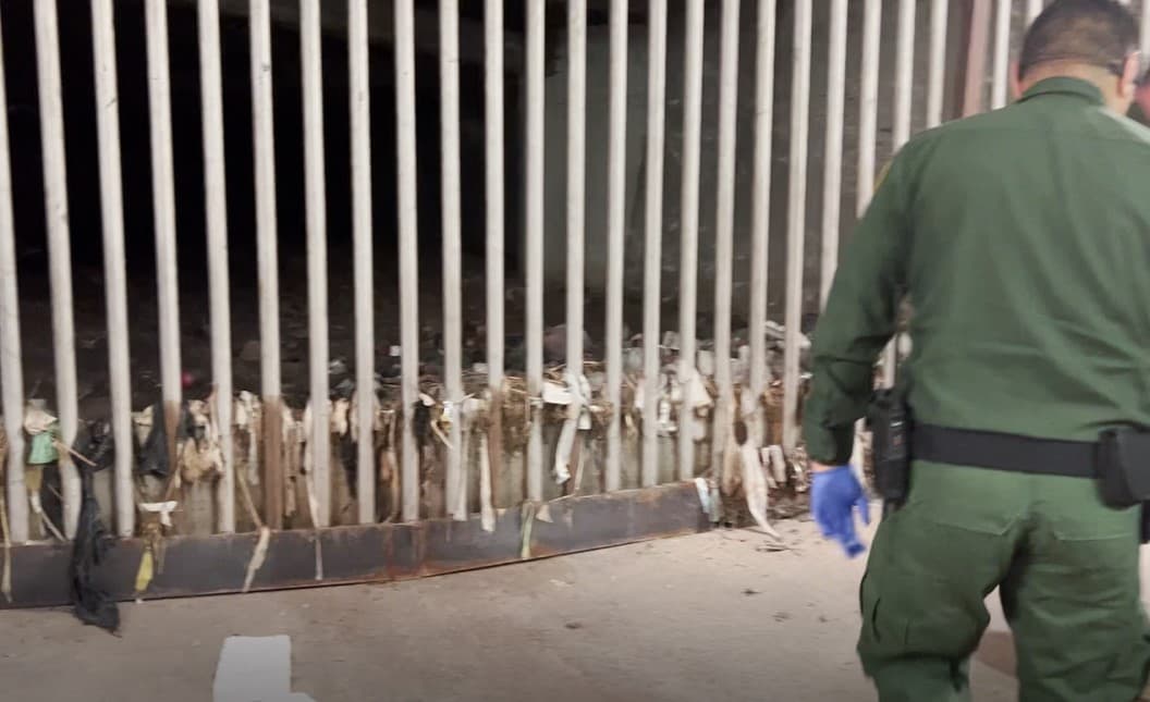 Algunos aprovechan la red pluvial, por lo que pueden convertirse en trampas mortales.