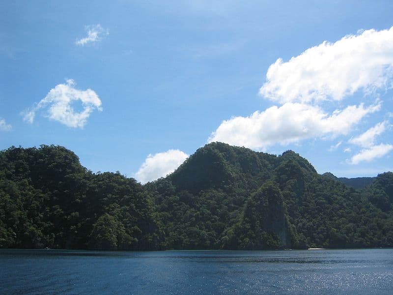 <b>Palawan</b> en Filipinas es una larga y delgada isla que tiene una de las bellezas naturales más inolvidables. El escondite más notable de la isla podría estar en el Parque Nacional Río Subterráneo de Puerto Princesa
<b> </b>declarado como Patrimonio de la Humanidad de la UNESCO. El río subterráneo cuenta con estalactitas y estalagmitas, rocas calizas que se levantan de lagunas azules y extensas playas bordeadas de palmeras. La isla está protegida dentro de la Reserva de la Biosfera de Palawan.