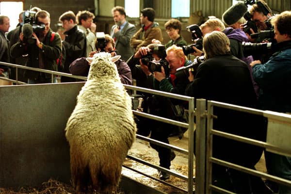 Dolly fue presentada a los medios de comunicación en febrero de 1997.