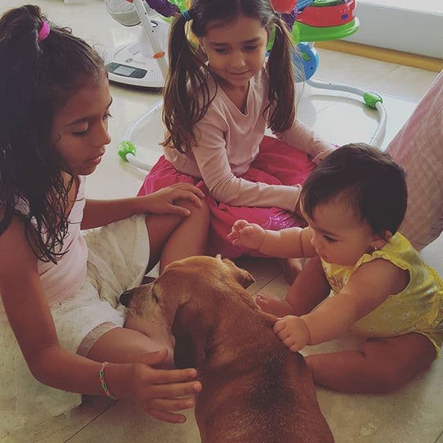 Las hermanitas Moreno jugaron con la mascota de la familia.