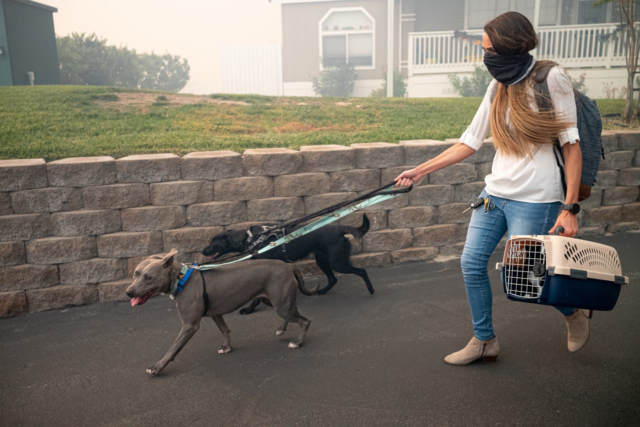 <a href="https://www.univision.com/local/los-angeles-kmex/california-en-llamas-multiples-incendios-de-rapida-propagacion-amenazan-cientos-de-viviendas-en-el-sur-de-california" target="_blank">Se estima que 40,000 residentes están en órdenes de evacuación por el incendio Tick</a>, y se agregaron más durante este viernes cuando todos los residentes del área de Sand Canyon Road desde la autopista 14 hasta Placerita Canyon Road en Santa Clarita también se les obligó a evacuar.