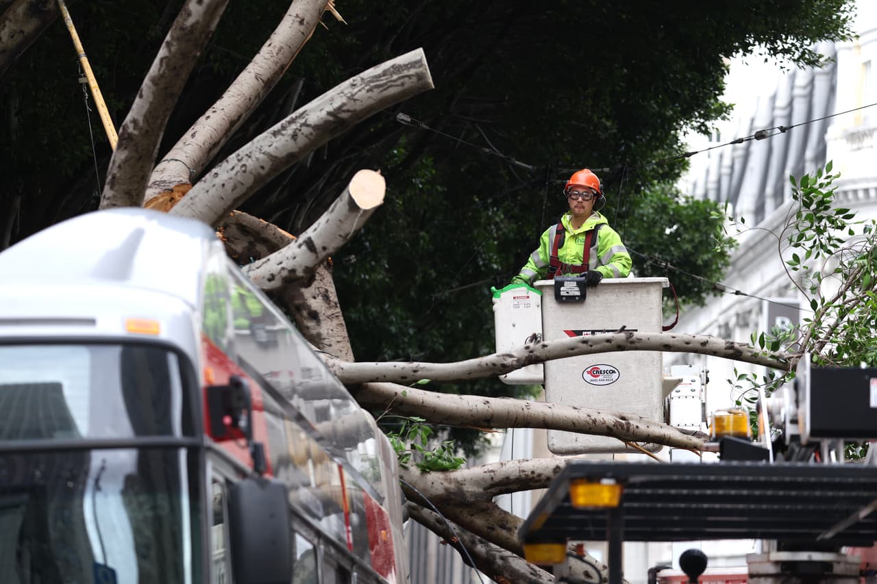 Agregó que cuando un automovilista se percata que cayó un cable del tendido eléctrico cae en su auto, debe permanecer dentro y llamar al 911, ya que podría correr el riesgo de electrocutarse.
<br>