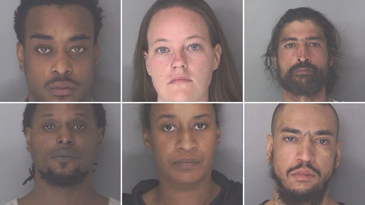 Alviro Smith, Deselvia Greely, Paul Robinson, Trina Robinson, Michael Sasser y Víctor Medina fueron arrestados y acusados de al menos 8 delitos. La captura se dio durante una redada en Efficiency Lodge en el condado de Douglas.