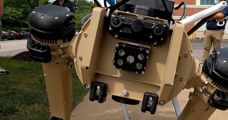 El Departamento de Seguridad Nacional (Department of Homeland Security, DHS),
<a href="https://www.univision.com/noticias/inmigracion/perros-robot-patrulla-fronteriza-cbp-estados-unidos">en un comunicado difundido a inicios de este mes</a>, indicó que la frontera entre México y Estados Unidos "
<b>puede ser un sitio inhóspito</b> para los humanos y los animales, y es por ello que estas máquinas pueden servir mucho ahí".