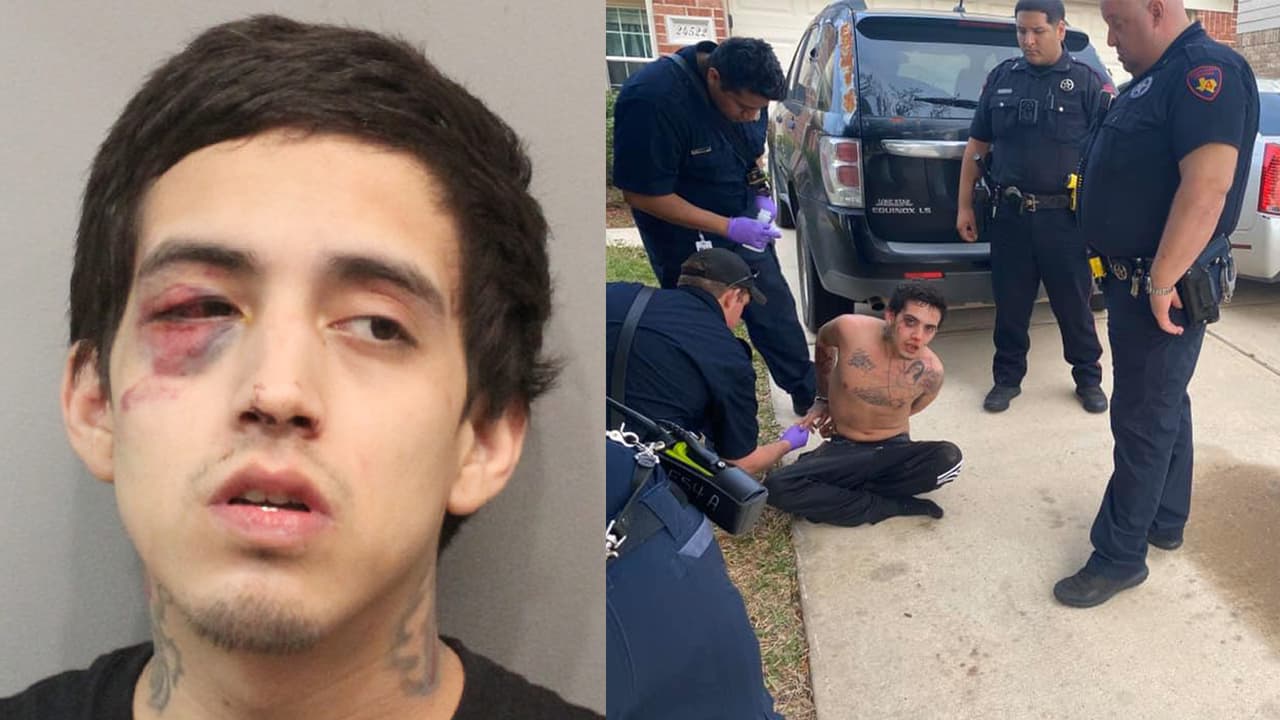Perro policía ayuda a capturar a fugitivo al noroeste de Houston