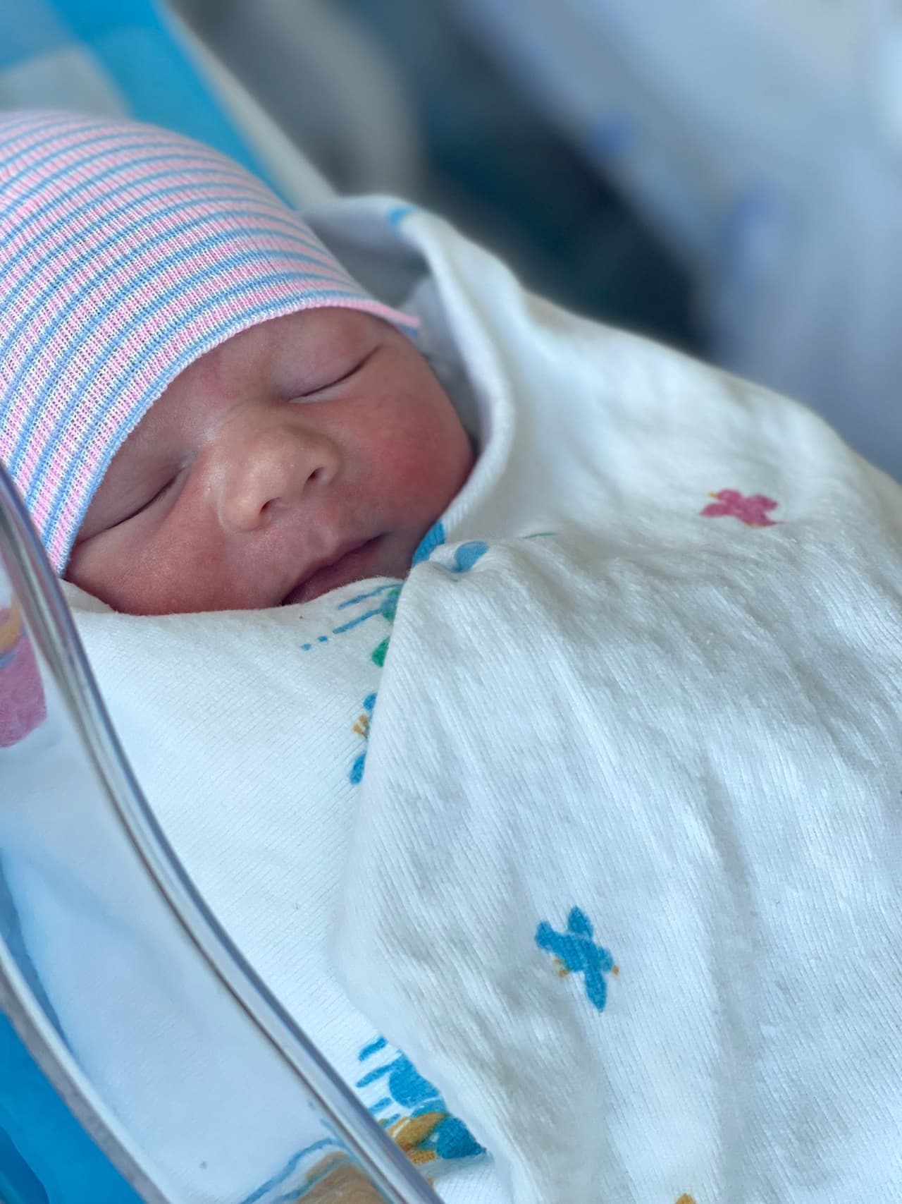 <b><a href="https://www.univision.com/shows/despierta-america/soy-la-mujer-mas-feliz-de-la-tierra-francisca-se-emociona-al-contar-los-detalles-del-nacimiento-de-gennaro-video" target="_blank">Baby Gennaro es un bebé muy sano</a></b>. Desde el primer momento de su llegada, se convirtió en un niño muy amado.