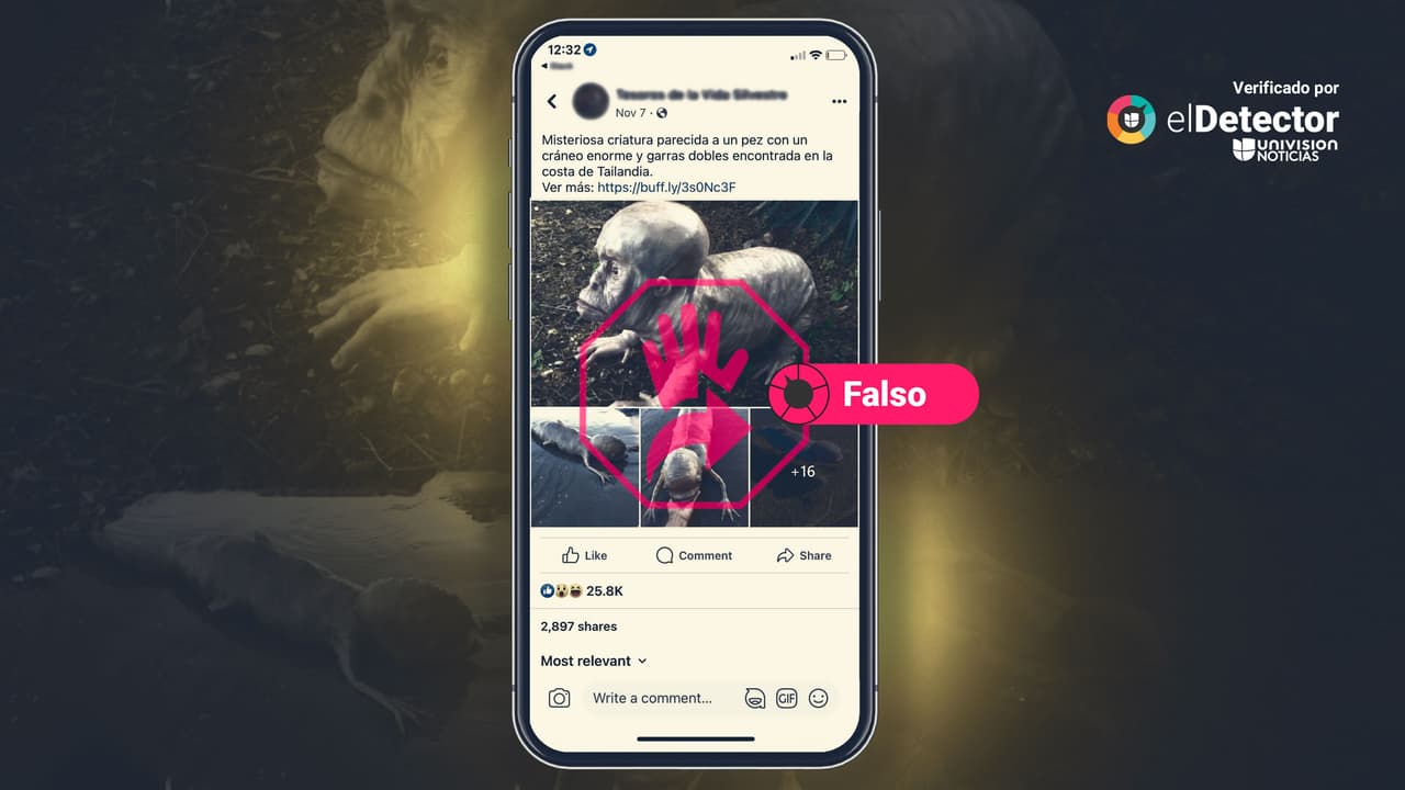 Esas fotos no son de una “misteriosa criatura” hallada en la costa de Tailandia: son esculturas de silicona