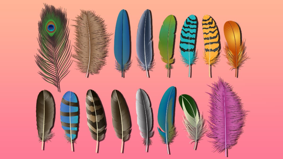 Plumas: conoce el mensaje que los ángeles tienen para ti según su color