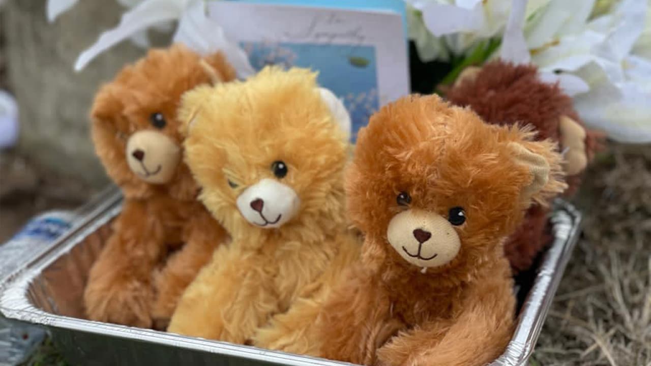 <a href="https://www.univision.com/local/houston-kxln/mueren-una-madre-y-sus-tres-hijos-tras-un-accidente-de-nueve-vehiculos-en-vias-del-condado-harris-video">En principio se había dicho que los tres hijos de la víctima murieron</a> pero este lunes, los oficiales informaron que el de 2 años logró salvarse aunque se encuentra en cuidados intensivos.