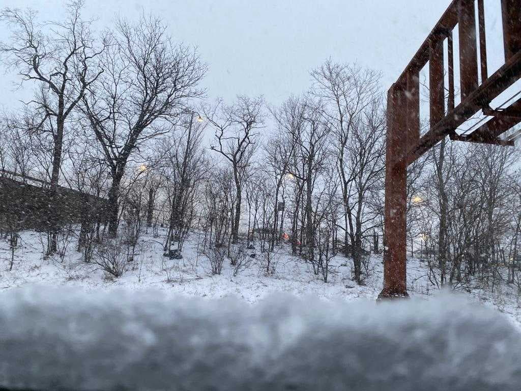 Tormenta invernal Chicago febrero 17 2022