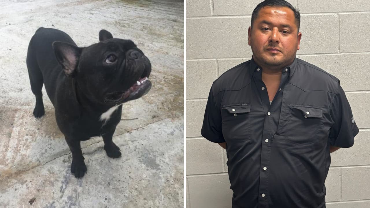 Arrestan a hombre por golpear, matar y enterrar a su propio perro en San Antonio