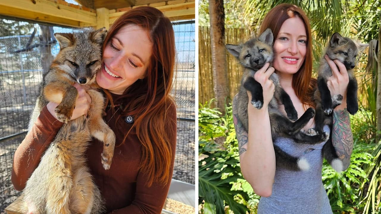 Youtuber y defensora de animales se quita la vida tras sufrir acoso en redes: Esto se sabe