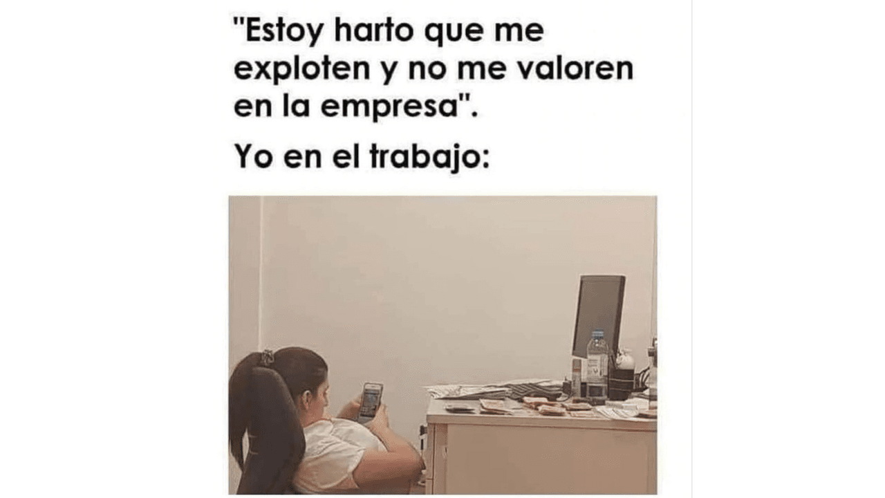 Memes para sobrevivir al lunes