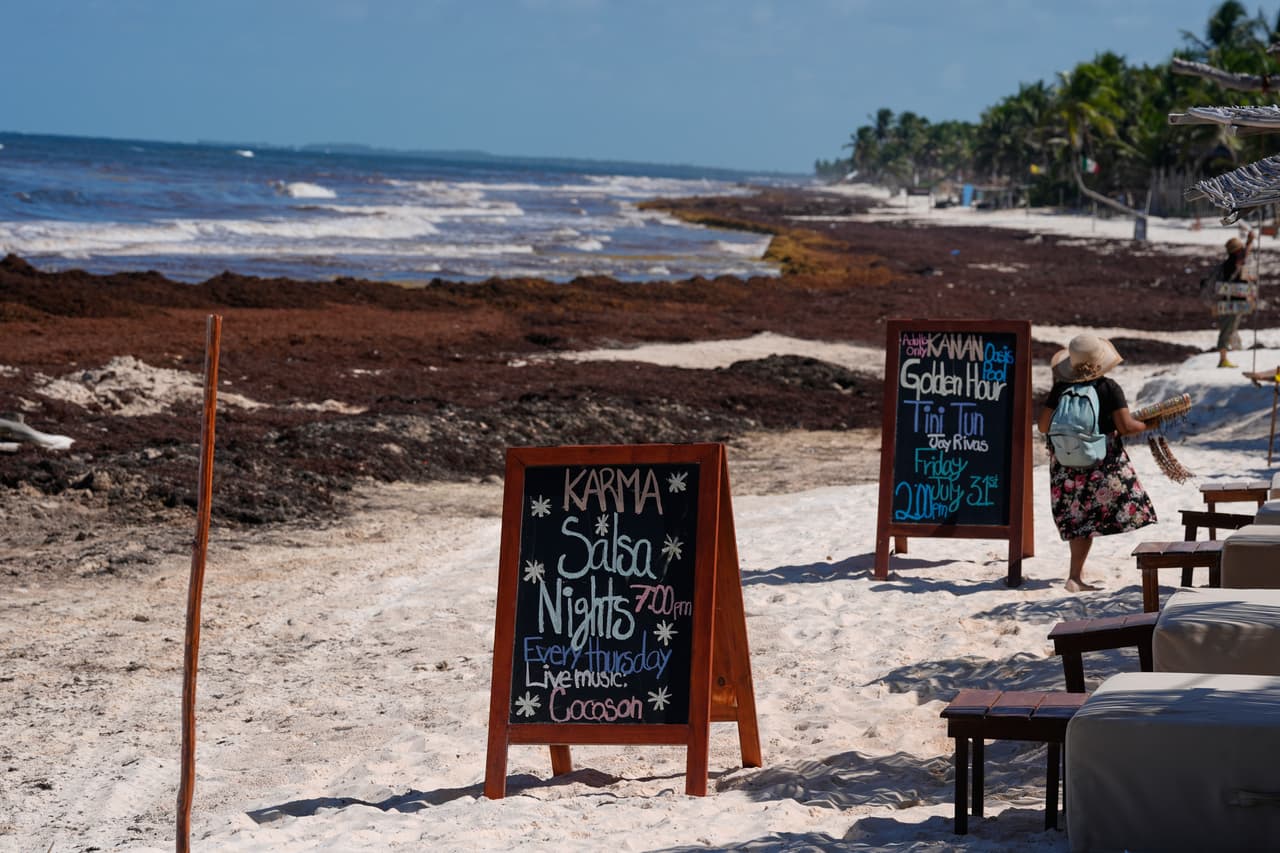 Carteles publicitarios se exhiben cerca de una playa cubierta de sargazo en Tulum, México, el jueves 30 de julio de 2026. (Foto AP/Fernando Llano)