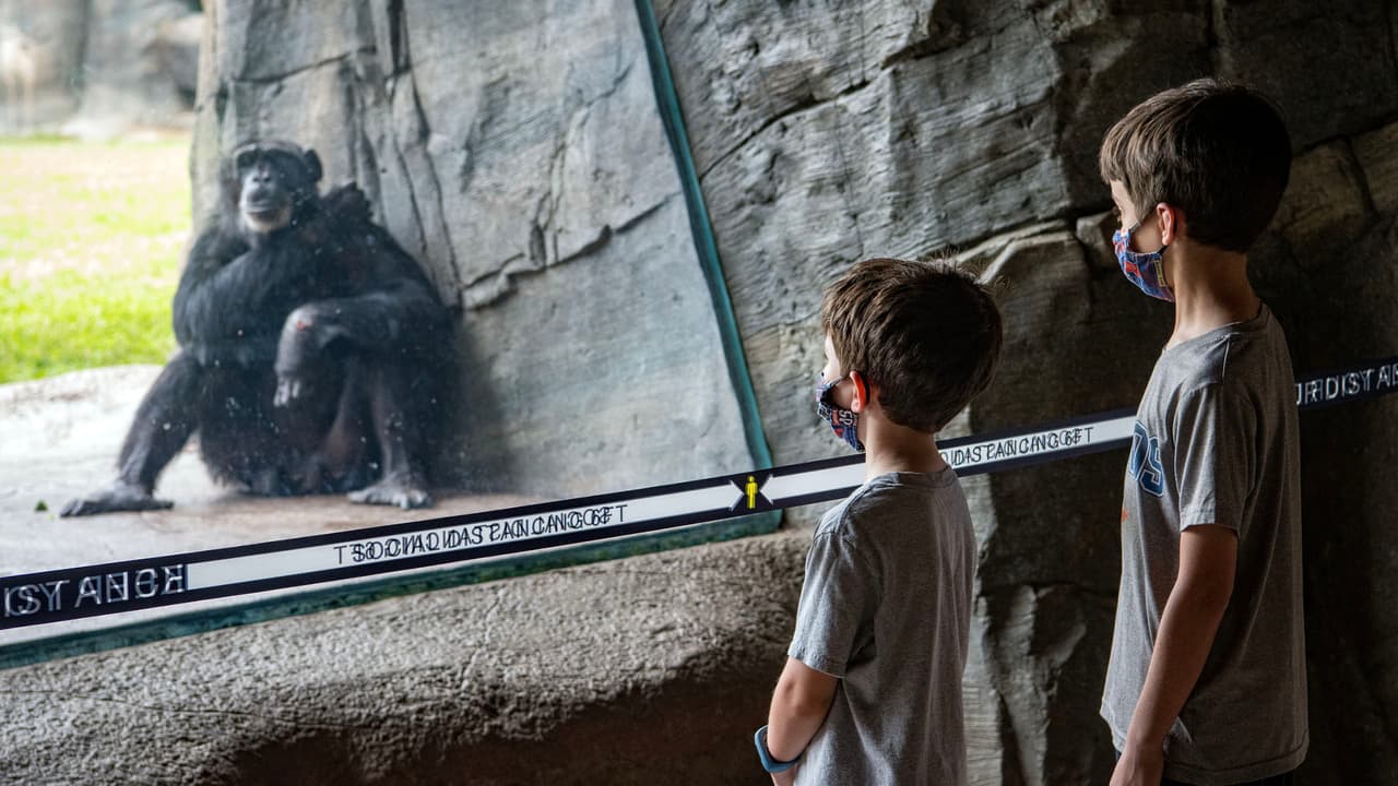 Al comprar los boletos se debe elegir entre tres horarios de entrada: mañana, mediodía o tarde.