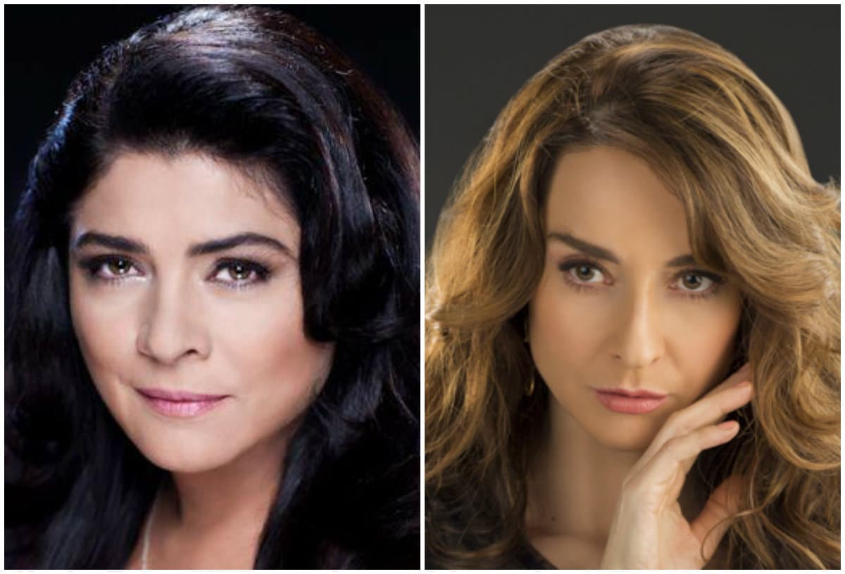 Las mamás más adorables de las telenovelas