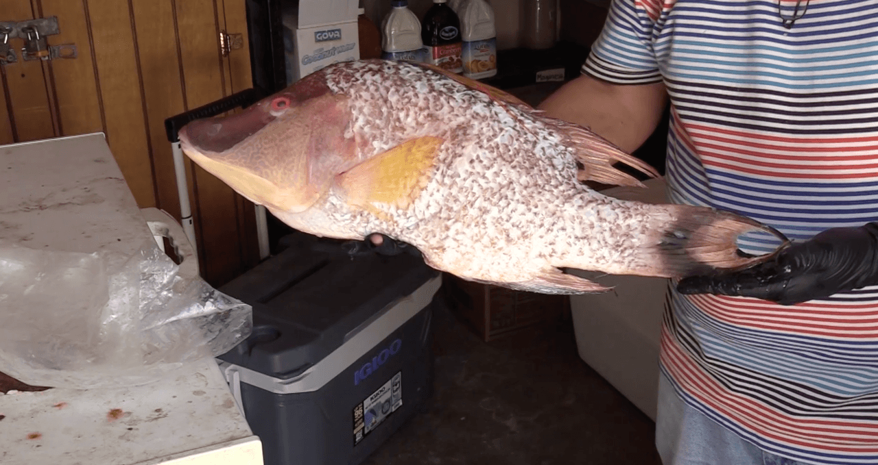 En algunas pescaderías, tal y como recomendó el gobierno, están ofreciendo servicio de delivery a los clientes.