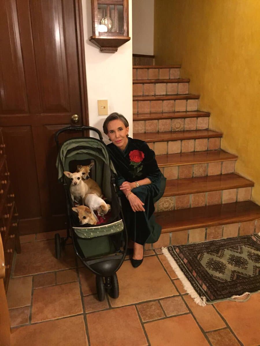 "Hablo mucho con Roberto y lo menciono todo el día, hablo con Dios, con Roberto y mis perros", de quienes la actriz mencionó que pueden brindarle toda su atención, más que sus familiares. "Tengo gente que me ayuda, que está conmigo, mi familia, pero la compañía en mi casa son mis perros", aseguró.