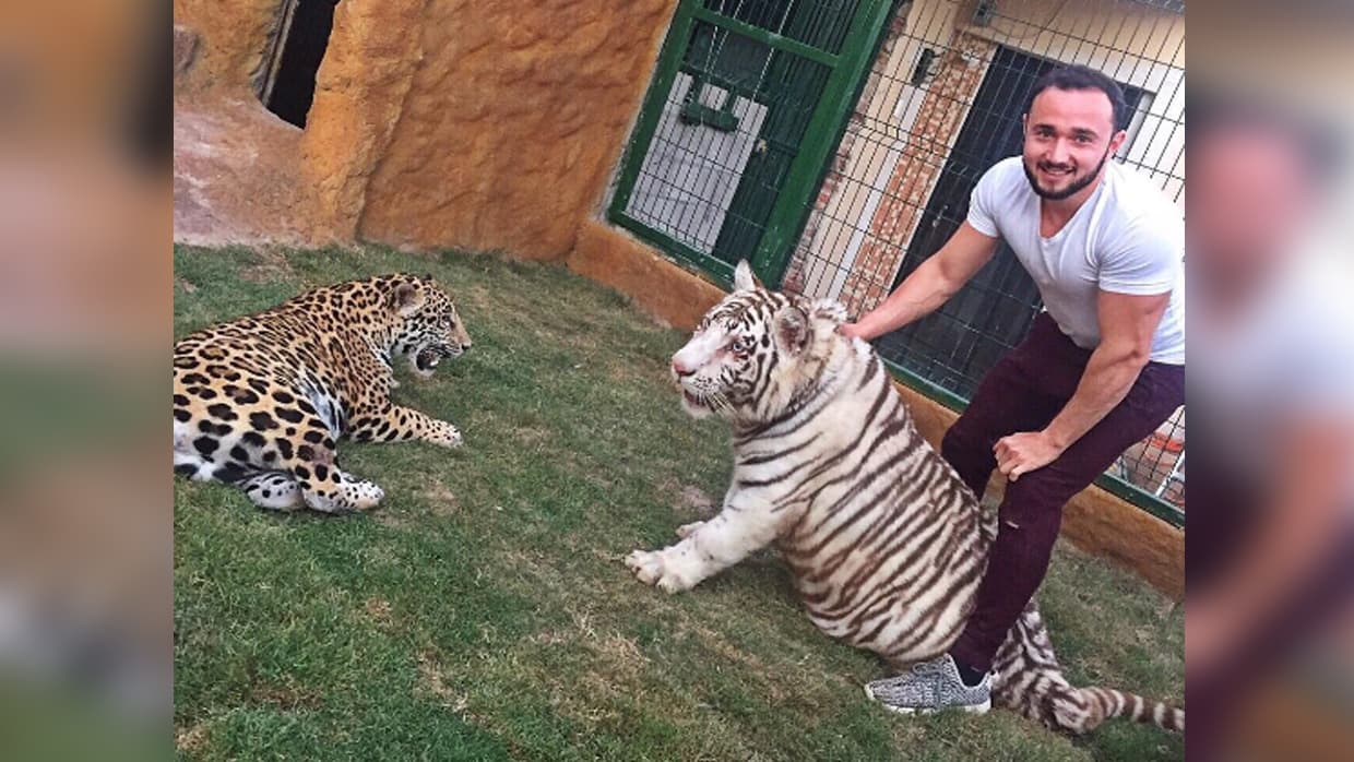 A sus 25 años, Beto Sierra se ha ganado un lugar en el regional mexicano gracias a sus redes sociales en las que promociona a nuevos artistas y en donde también muestra su vida junto a su jaguar y su tigre.