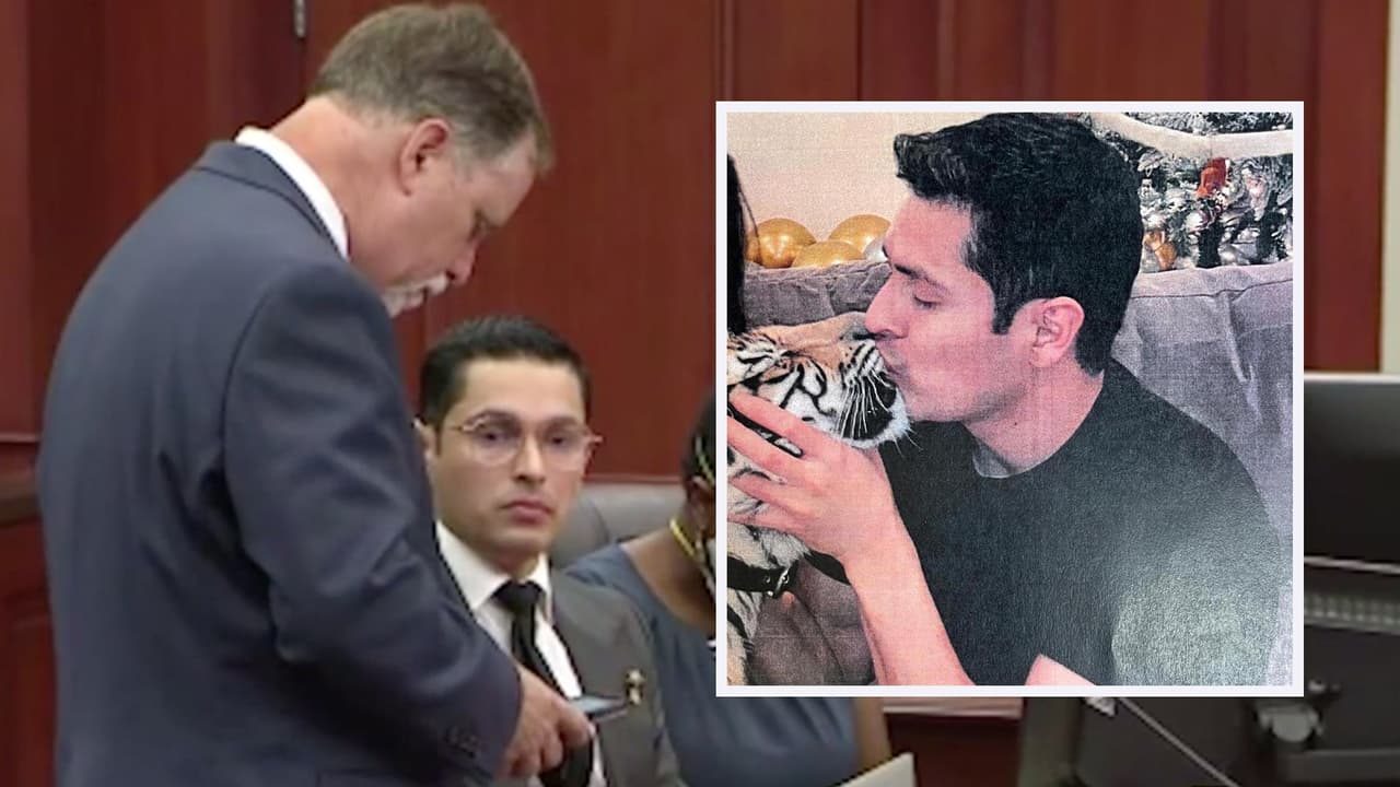 El abogado Michael Elliott aseguró que el hispano no es el dueño del tigre sino que lo estaba cuidando y que el verdadero propietario se está escondiendo de las autoridades.