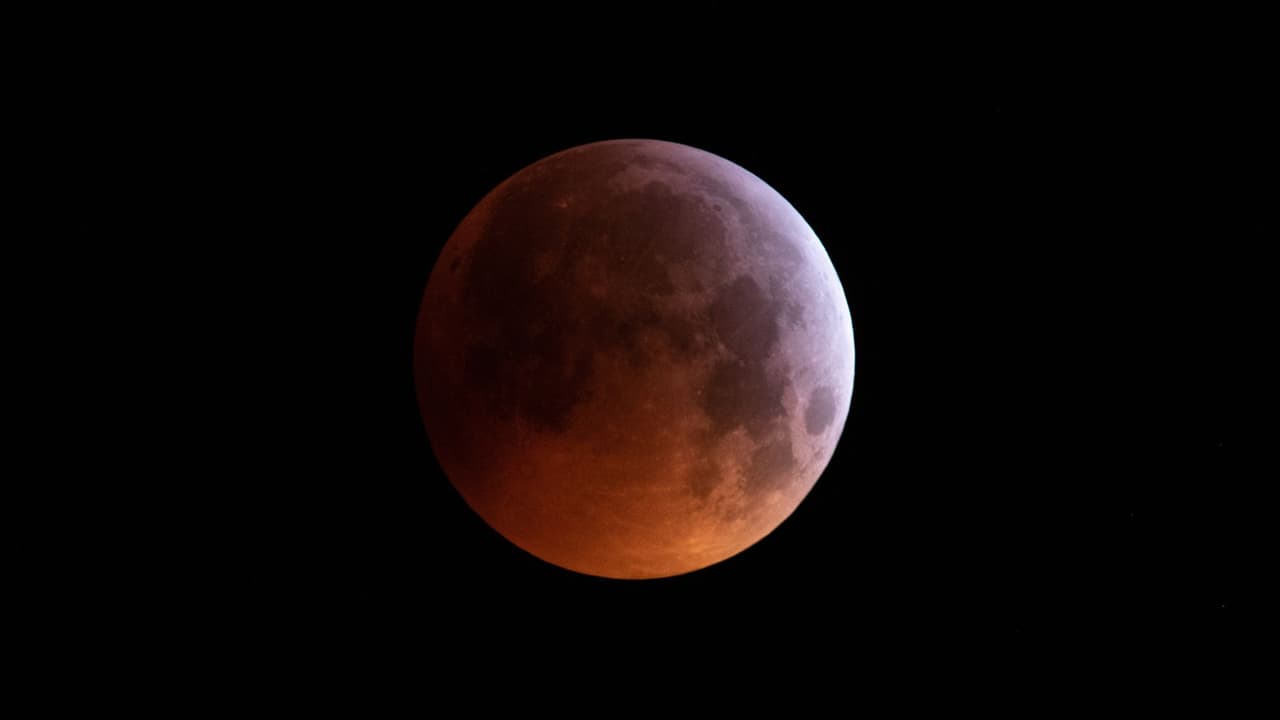 <h3 class="cms-H3-H3">Los mejores puntos para ver el eclipse en Austin</h3>
<br>Aunque el eclipse será visible desde muchos lugares, alejarte de las luces urbanas te garantizará una experiencia más nítida. Aquí te compartimos algunos de los mejores sitios en Austin y alrededores para disfrutar del fenómeno:
<ul>
<li data-start="1743" data-end="1894"><b><a href="https://www.austintexas.gov/department/barton-creek-greenbelt" target="_blank">Barton Creek Greenbelt</a></b>: Con sus senderos tranquilos y espacios abiertos, es uno de los mejores lugares de Austin para observar el cielo nocturno.</li>
<li data-start="1895" data-end="2066"><b><a href="https://tpwd.texas.gov/state-parks/mckinney-falls" target="_blank">McKinney Falls State Park</a></b>: Un paraíso natural ubicado al sureste de la ciudad, que ofrece vistas despejadas del cielo y un ambiente ideal para disfrutar del eclipse.</li>
<li data-start="2067" data-end="2204"><b><a href="https://laketravis.com/" target="_blank">Lake Travis</a></b>: Las orillas de este lago son perfectas para una vista panorámica del cielo, alejado de la luz artificial de la ciudad.</li>
<li data-start="2205" data-end="2387"><b><a href="https://texasstateparks.reserveamerica.com/camping/pedernales-falls-state-park/r/deDetails.do?contractCode=TX&parkId=1200068" target="_blank">Pedernales Falls State Park</a></b>: A unas dos horas al oeste de Austin, este parque es un excelente refugio para escapar de las luces urbanas y disfrutar del espectáculo astronómico.</li>
</ul>