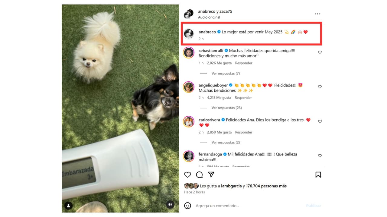 Ana Brenda Contreras presumió su prueba positiva de embarazo.