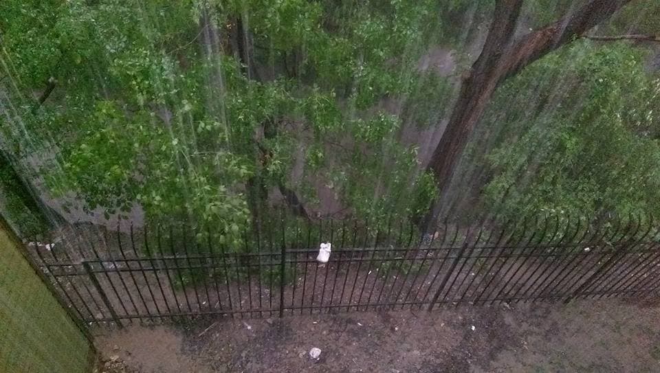 Inundaciones en Dallas