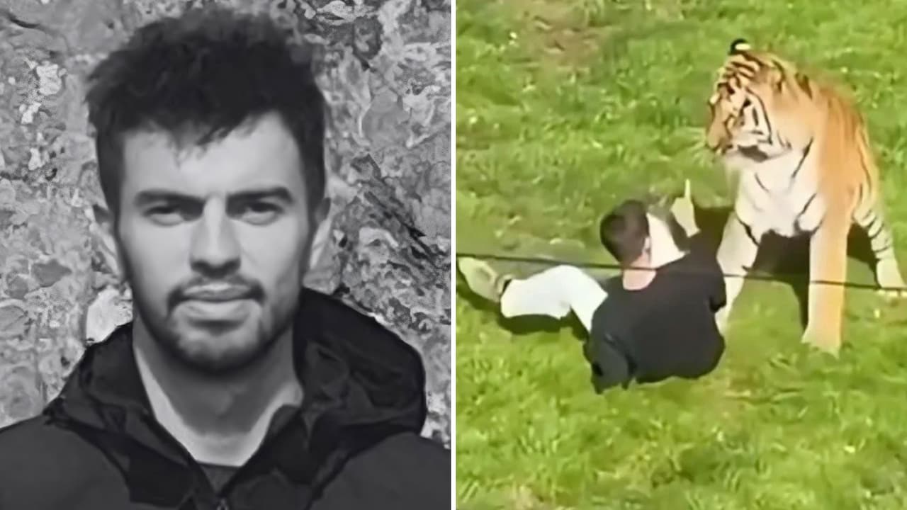 Familia de exactor que murió tras ataque de tigre afirma que él “padeció una enfermedad mental grave”