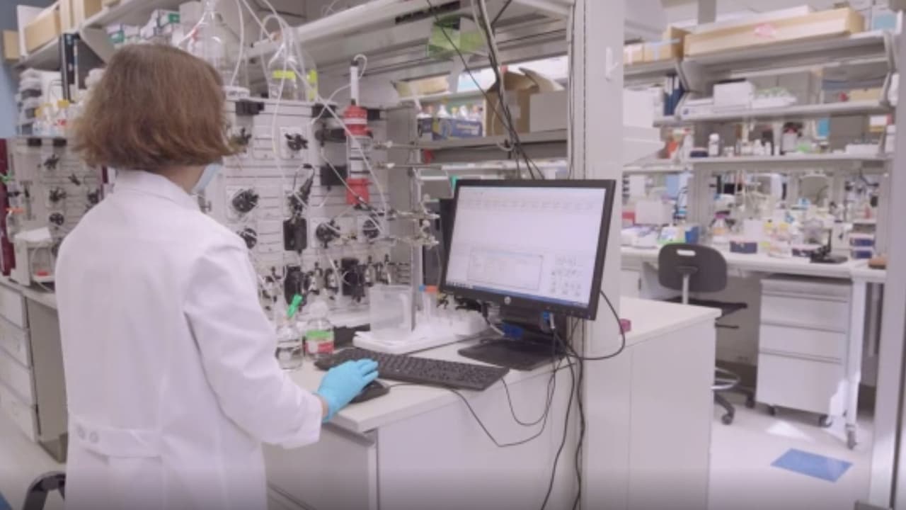 Y que llegue a muchos otros países. "Con esto buscamos cerrar estas brechas de lo que nos hace falta, más vacunas para aquellos que no lo han recibido”, aseguró la doctora.
<br>