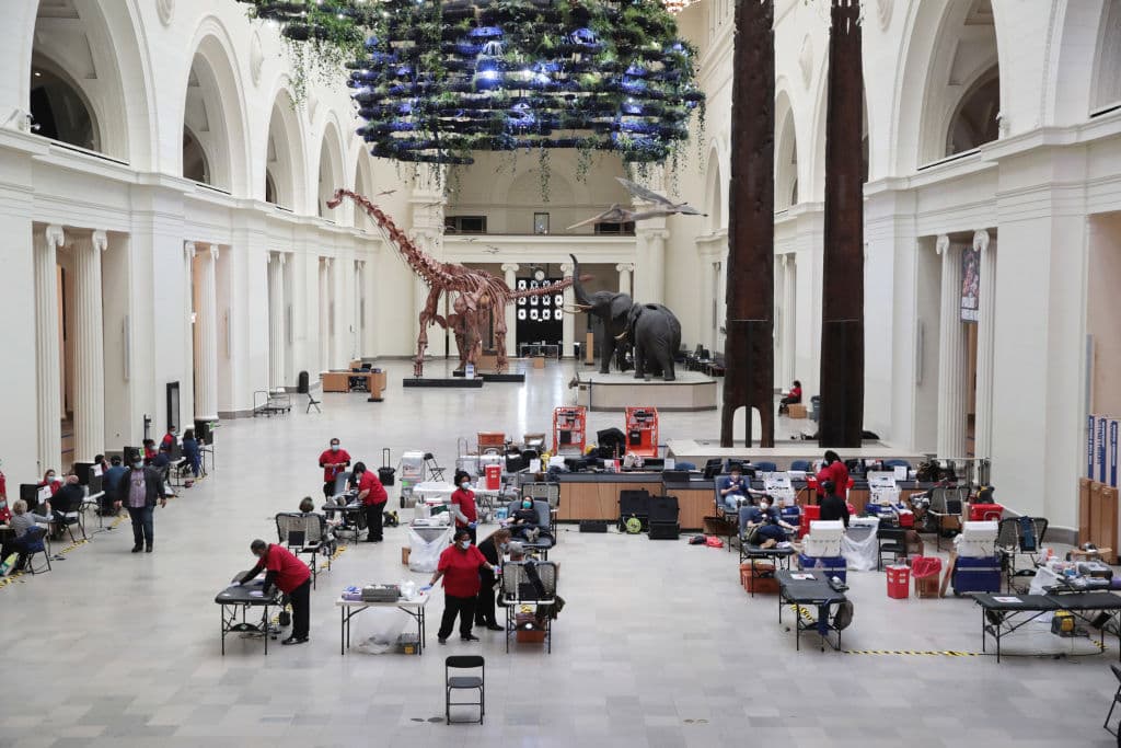 Así, con las gigantes piezas de animales prehistóricos de fondo, la Cruz Roja extrae sangre de los voluntarios que se acercaron al Museo Field de Chicago a donar.