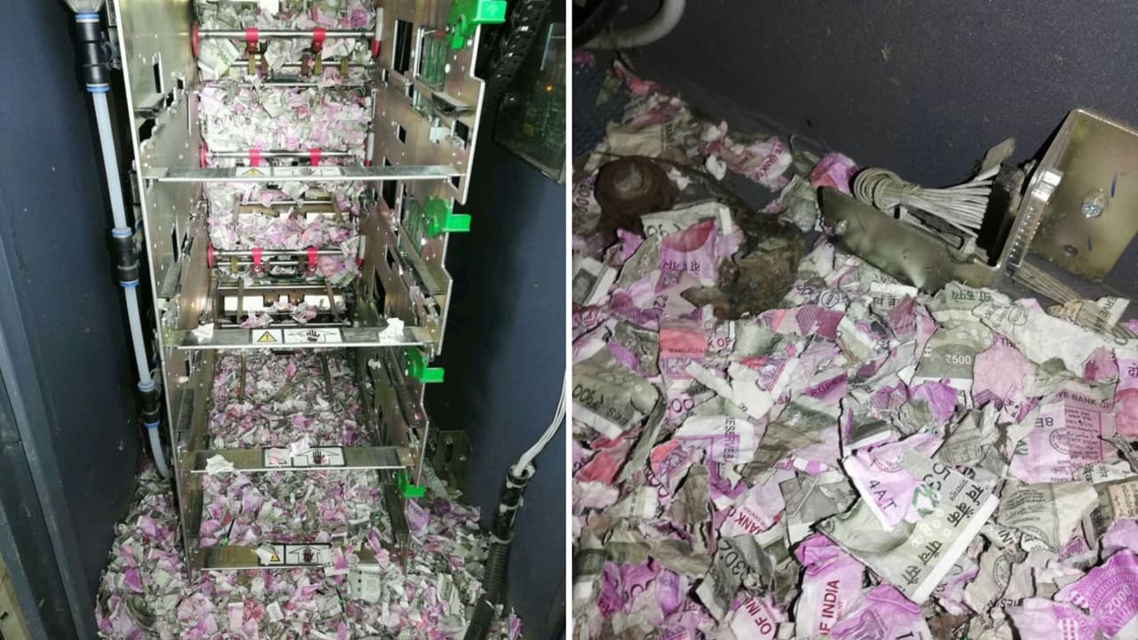 Rata irrumpe en un cajero automático de India se comé cerca de 18 mil dólares en efectivo: fotos