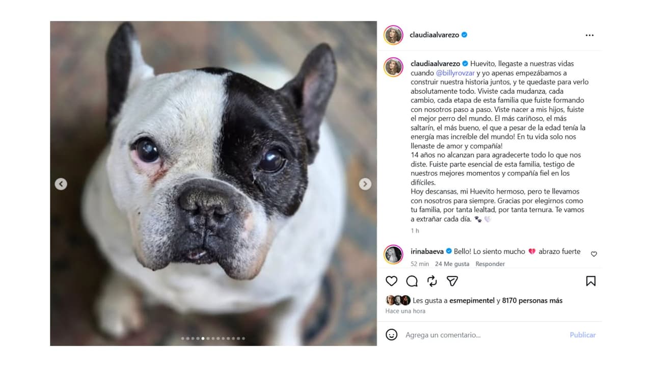 Huevito estuvo junto a la actriz por 14 años.